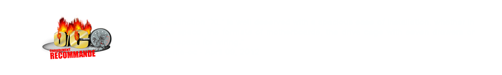 Word press-Shinobi XL-Reviews-11